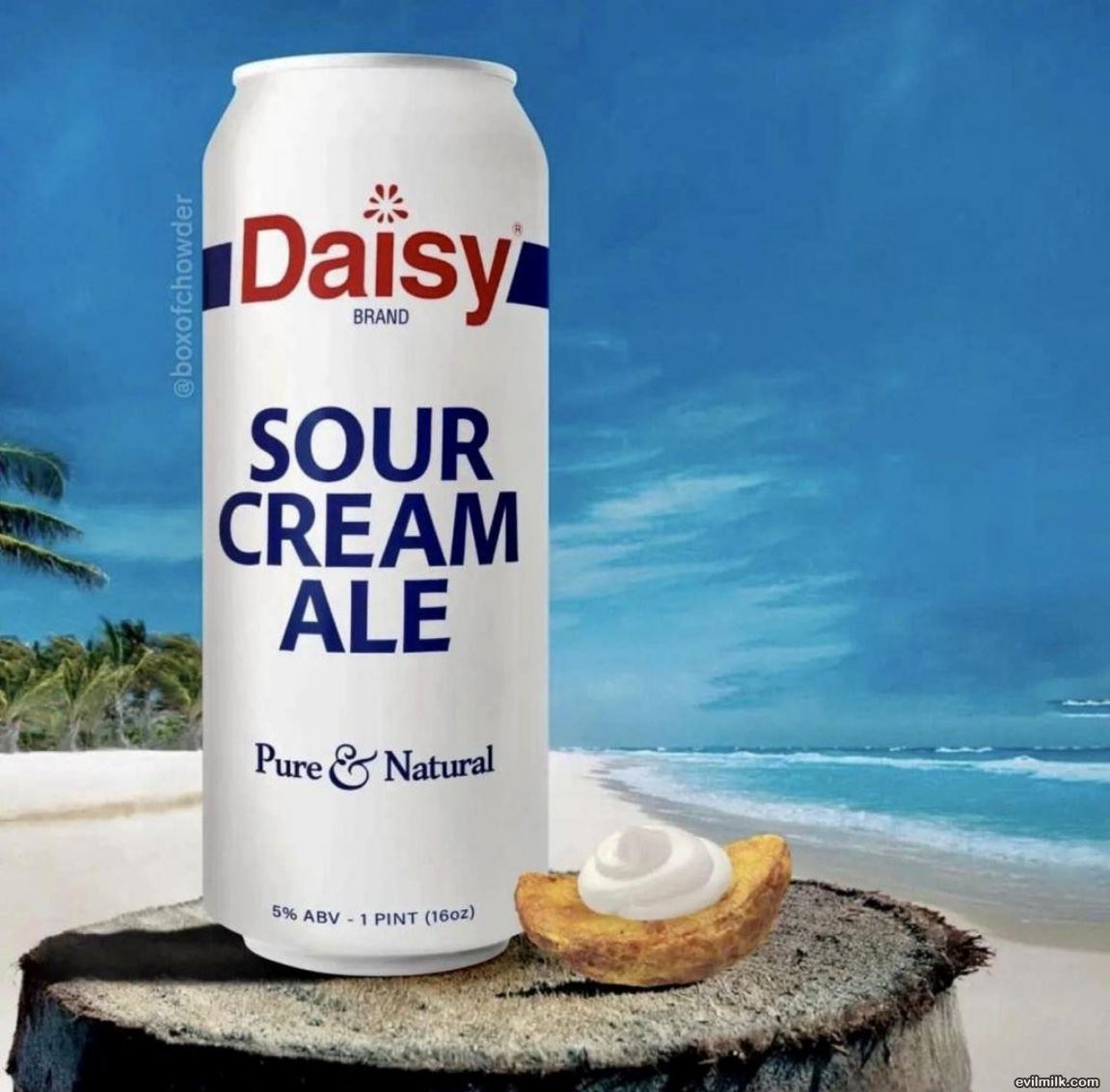 Sour Cream Ale