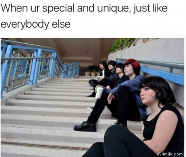 Special And Unique