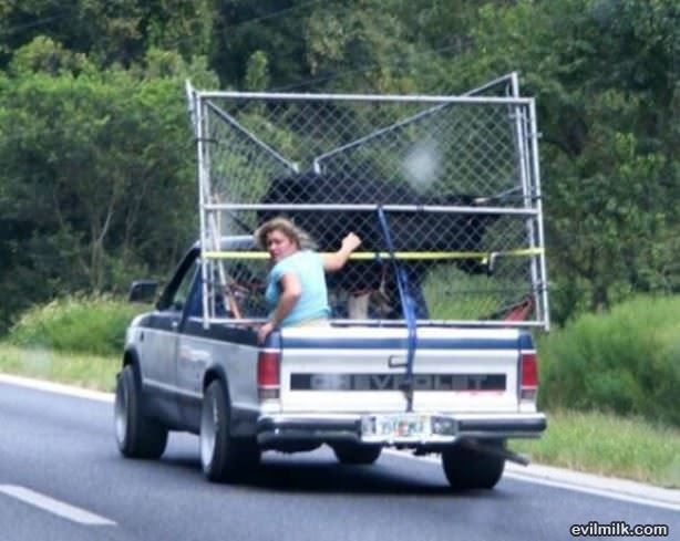 Special Delivery Today