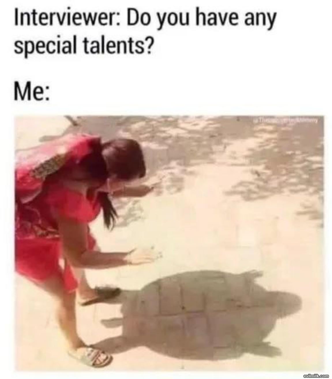 Special Talents