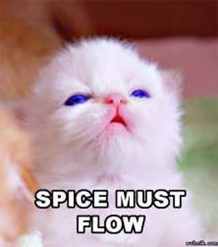 Spice Must Flow