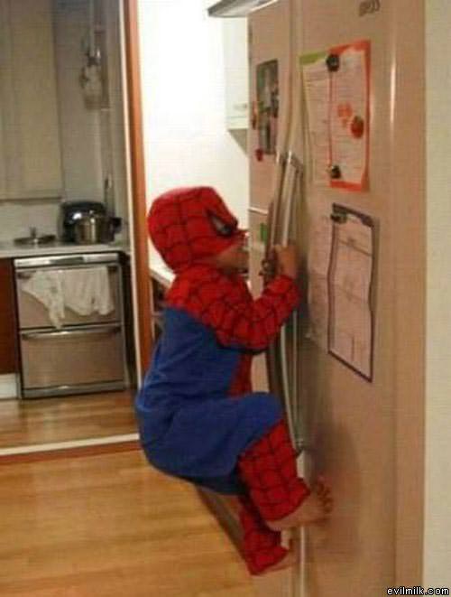 Spider Man In Training