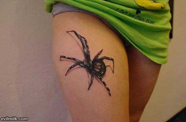 Spider Tattoo