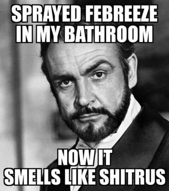 Sprayed Some Febreeze