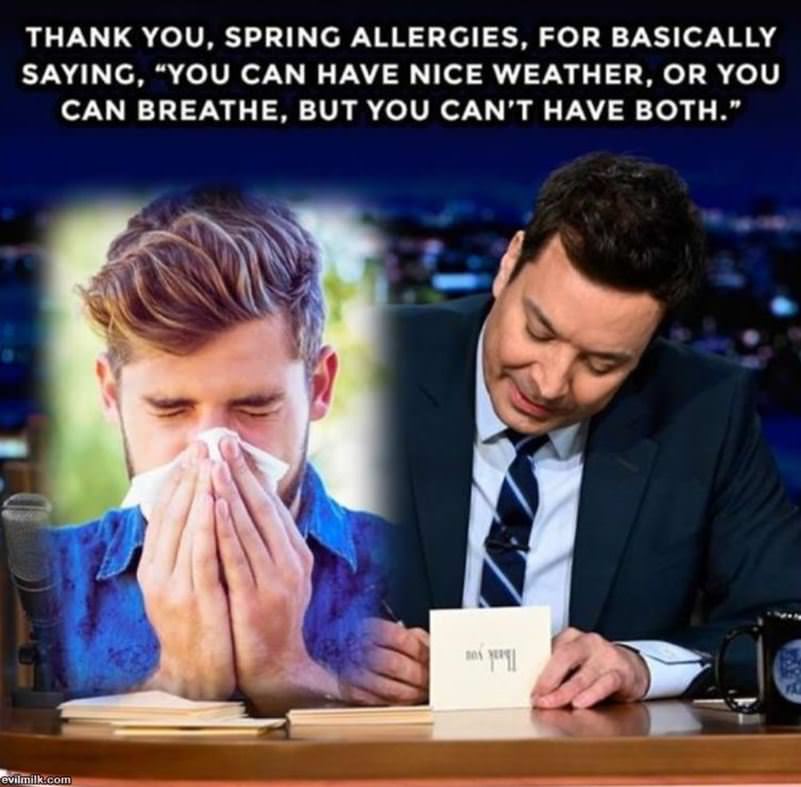 Spring Allergies
