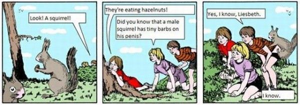 Squirrels