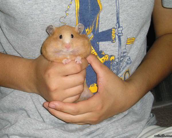 Squoosh