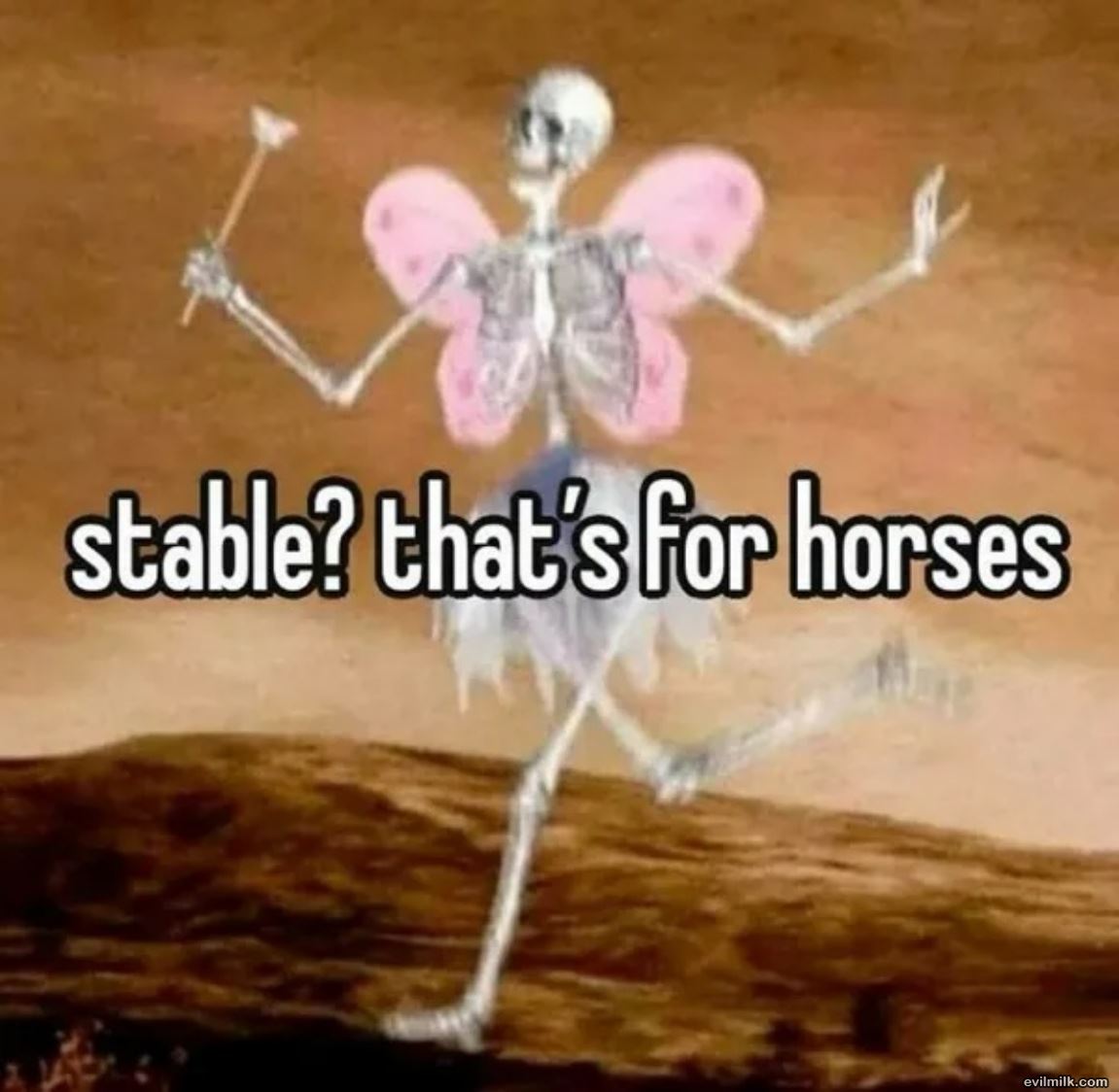 Stable