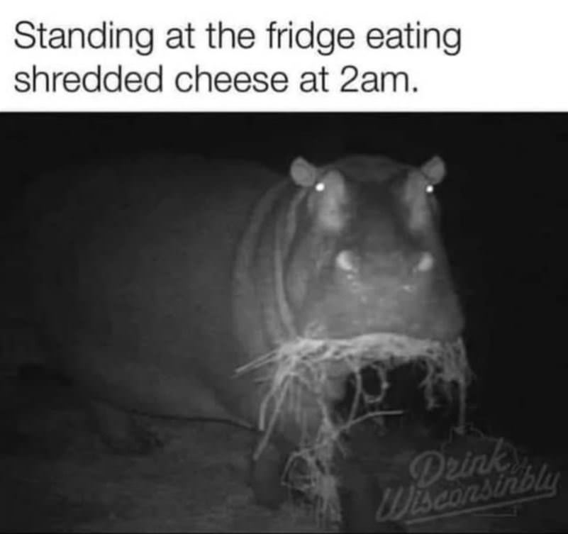 Standing At The Fridge