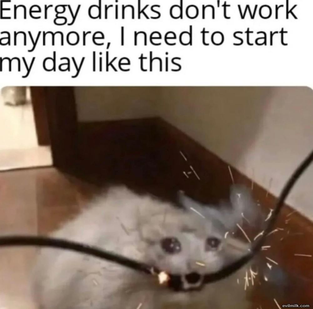 Start Your Day Right