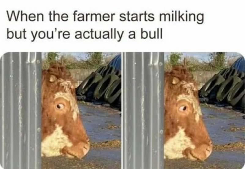 Starts Milking You