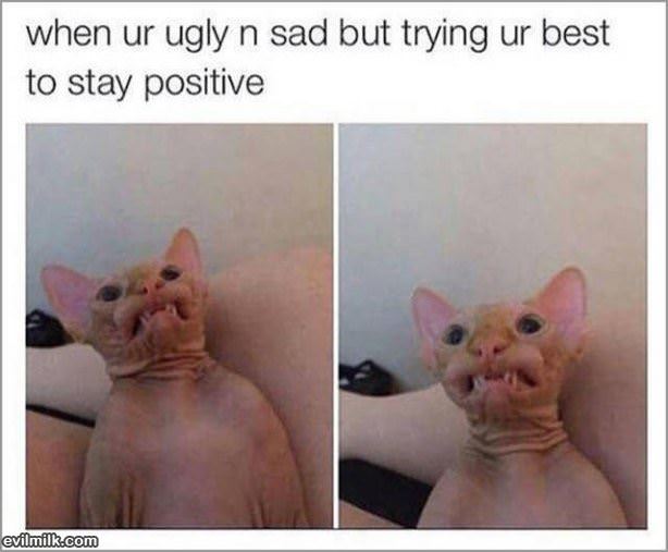Stay Positive
