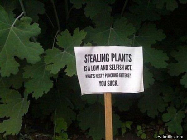 Stealing Plants