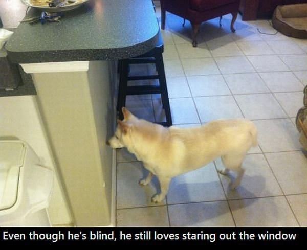 Still Enjoys The Little Things