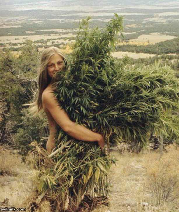 Stoner Life