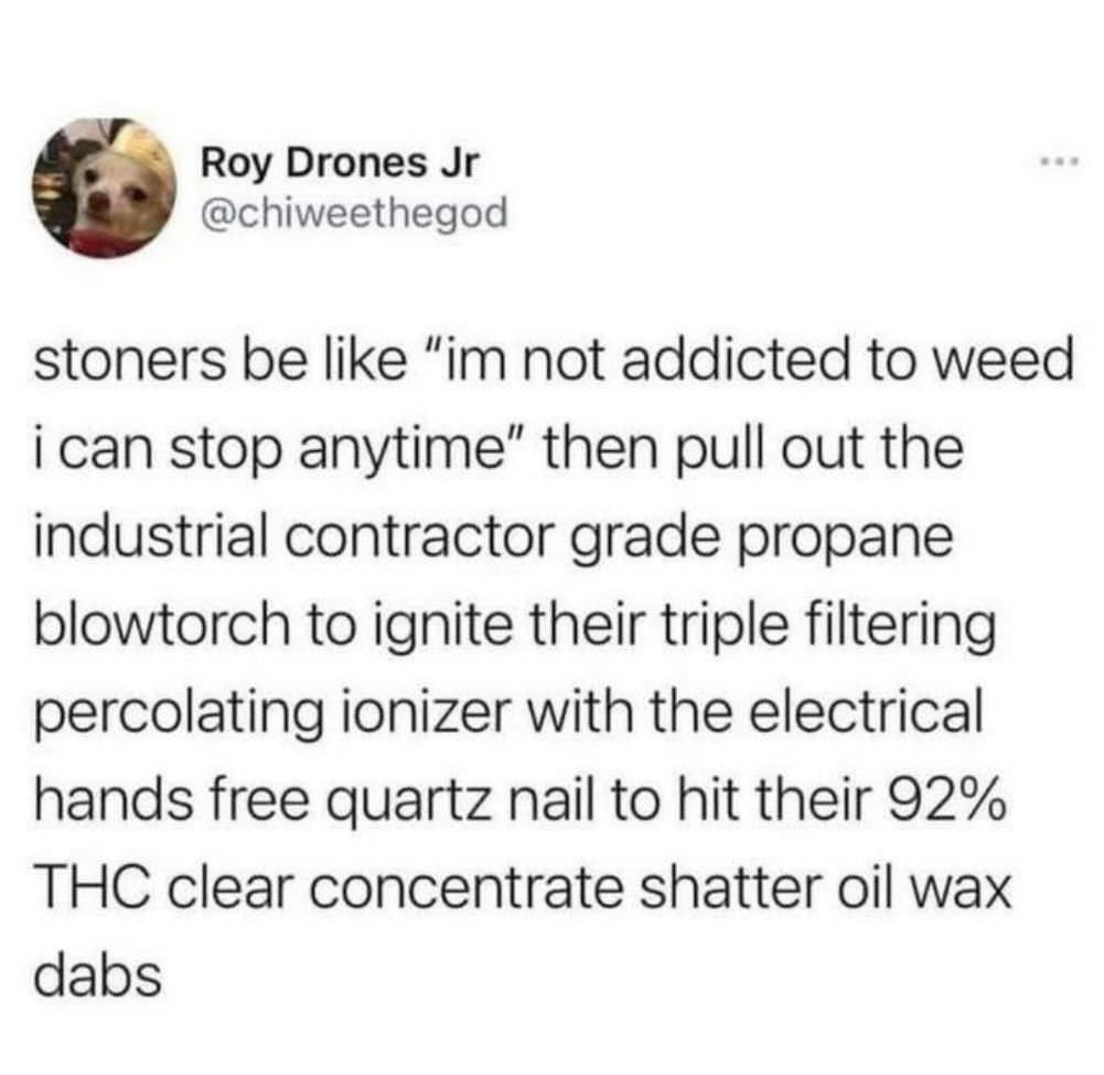 Stoners Be Like