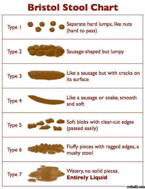 Stool Chart