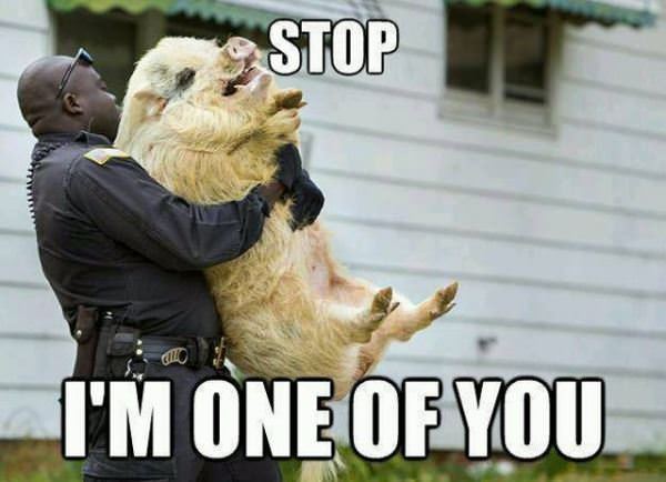Stop