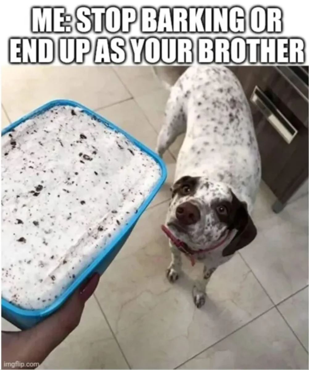 Stop Barking