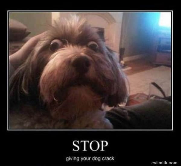 Stop That