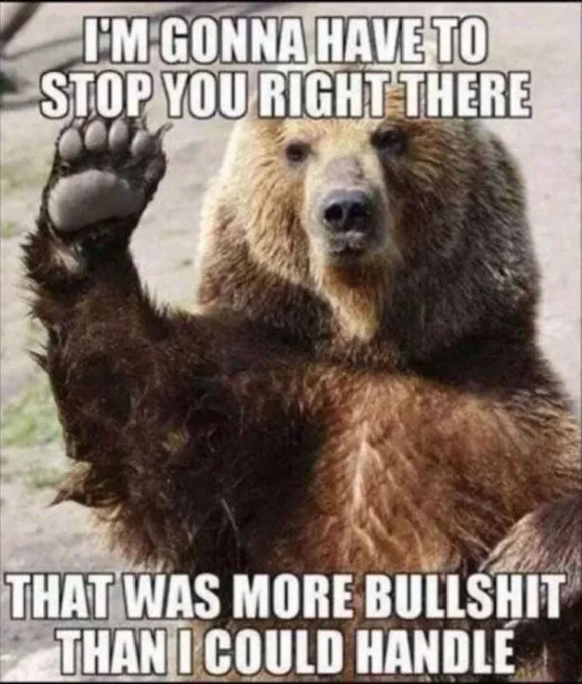 Stop You Right There