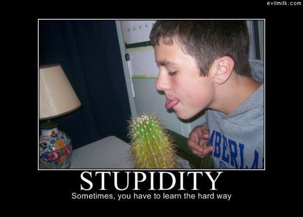 Stupidity