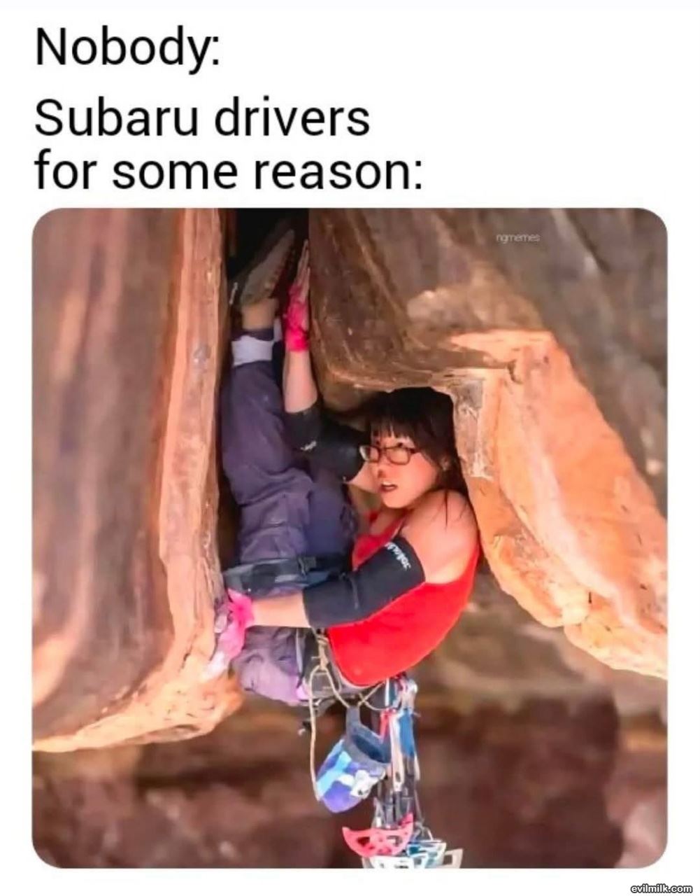 Subaru Lesbians
