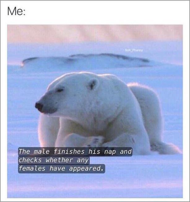 Sums It Up