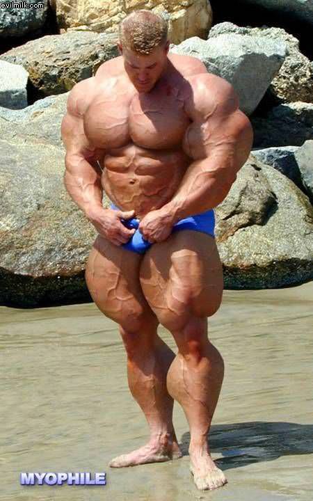 Roids