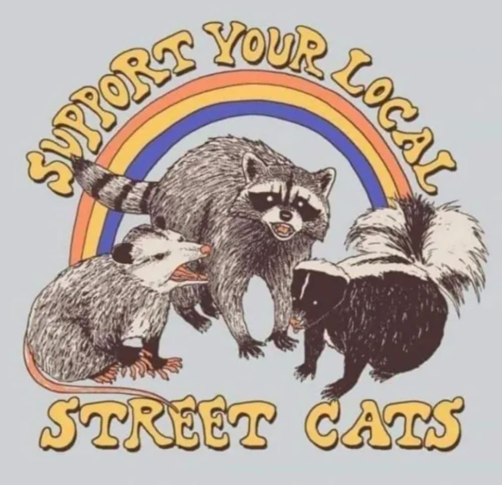Support The Cats