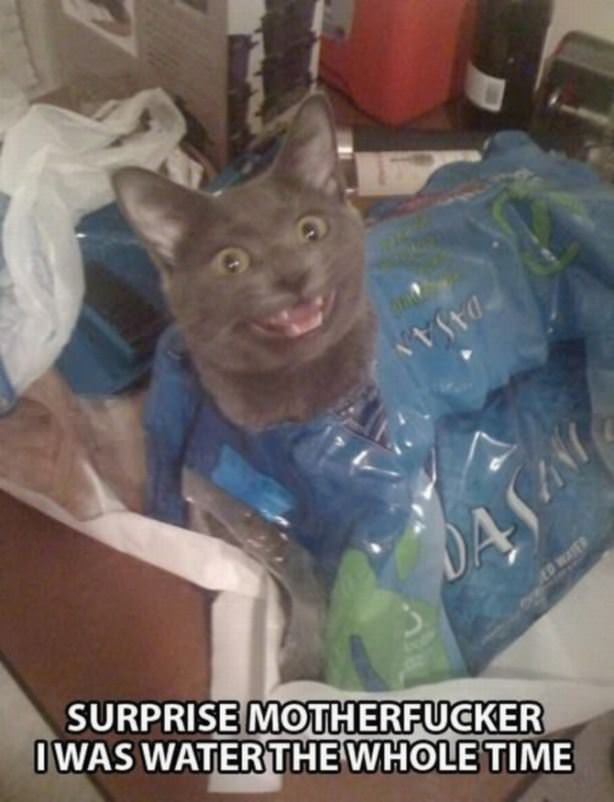Surprise