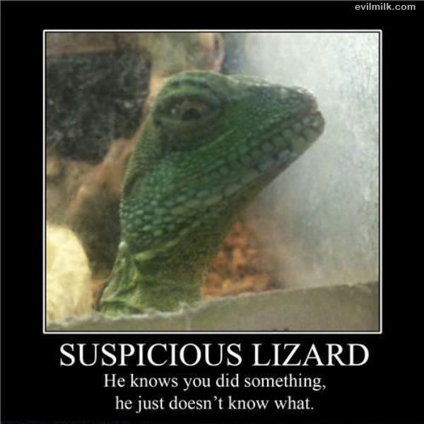 Suspicious Lizard