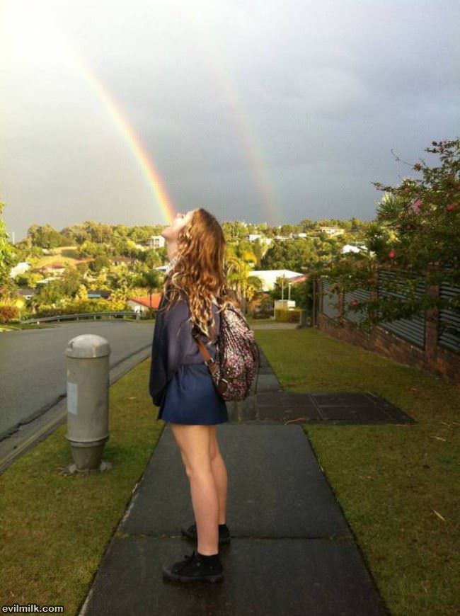Swallow The Rainbow