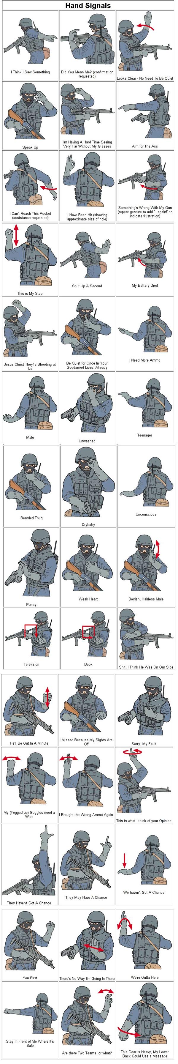 Swat