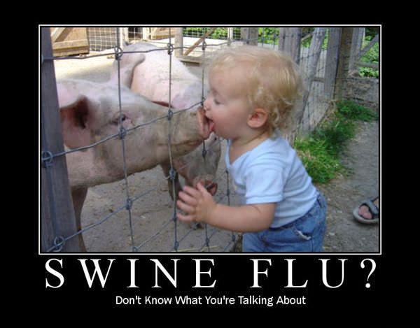 Swine Flu