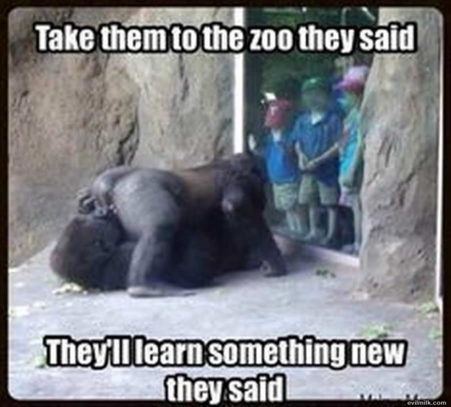 Take Them To The Zoo