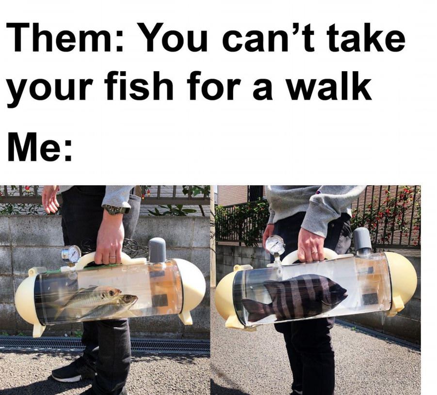Taking Fish For A Walk