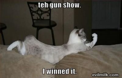 Teh Gun Show