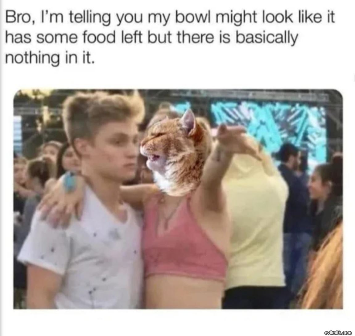 Telling You