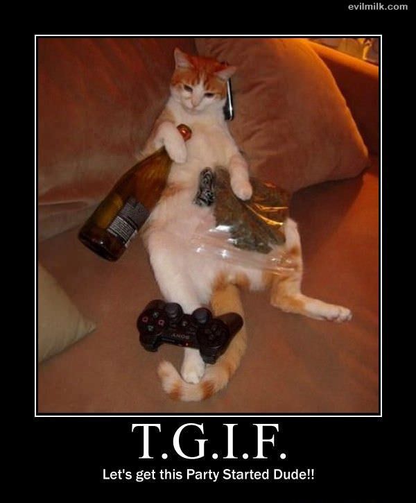 Tgif