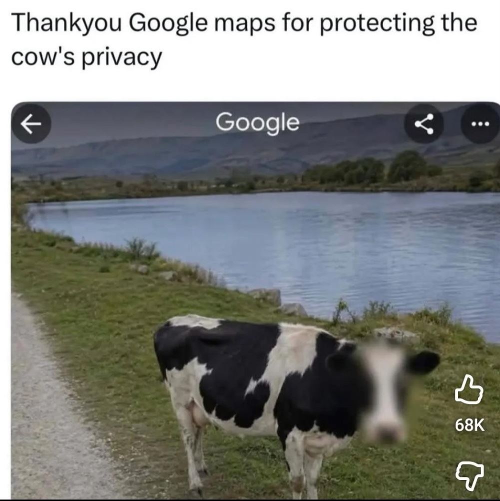 Thank You Google