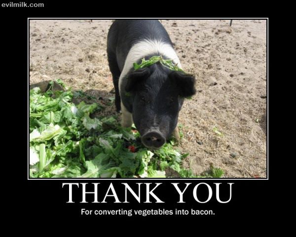 Thank You Kindly