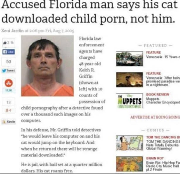 That Crazy Cat