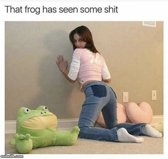 That Frog Has Seen It All