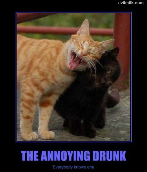 The Annoying Drunk