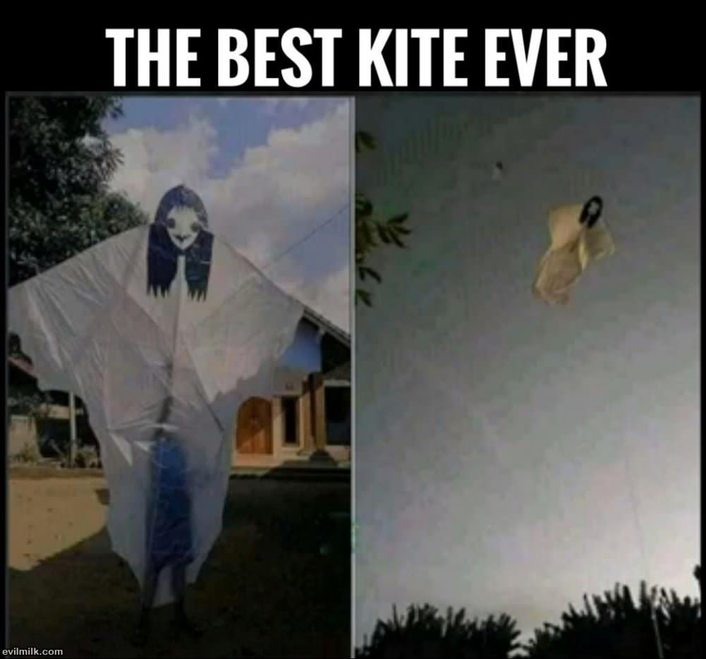 The Best Kite Ever