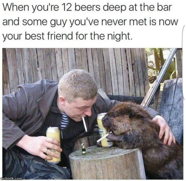 The Best Nights