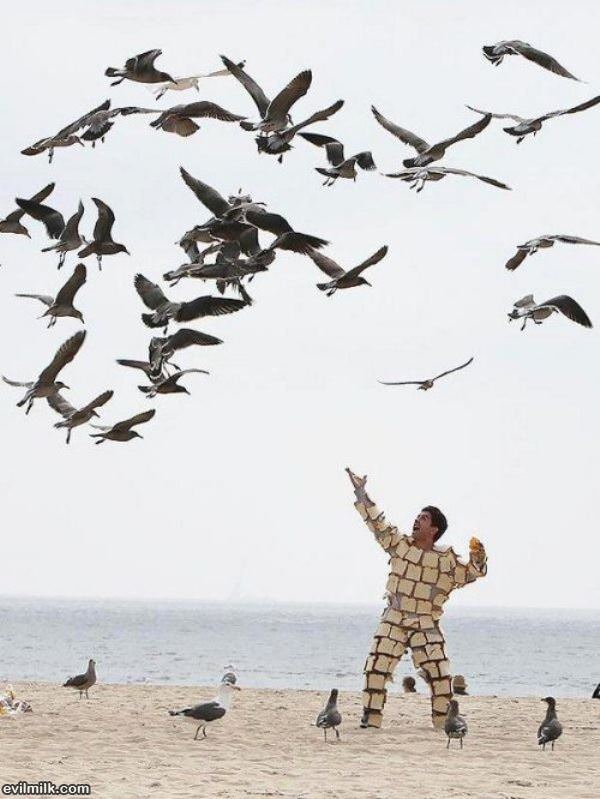 The Bird Man