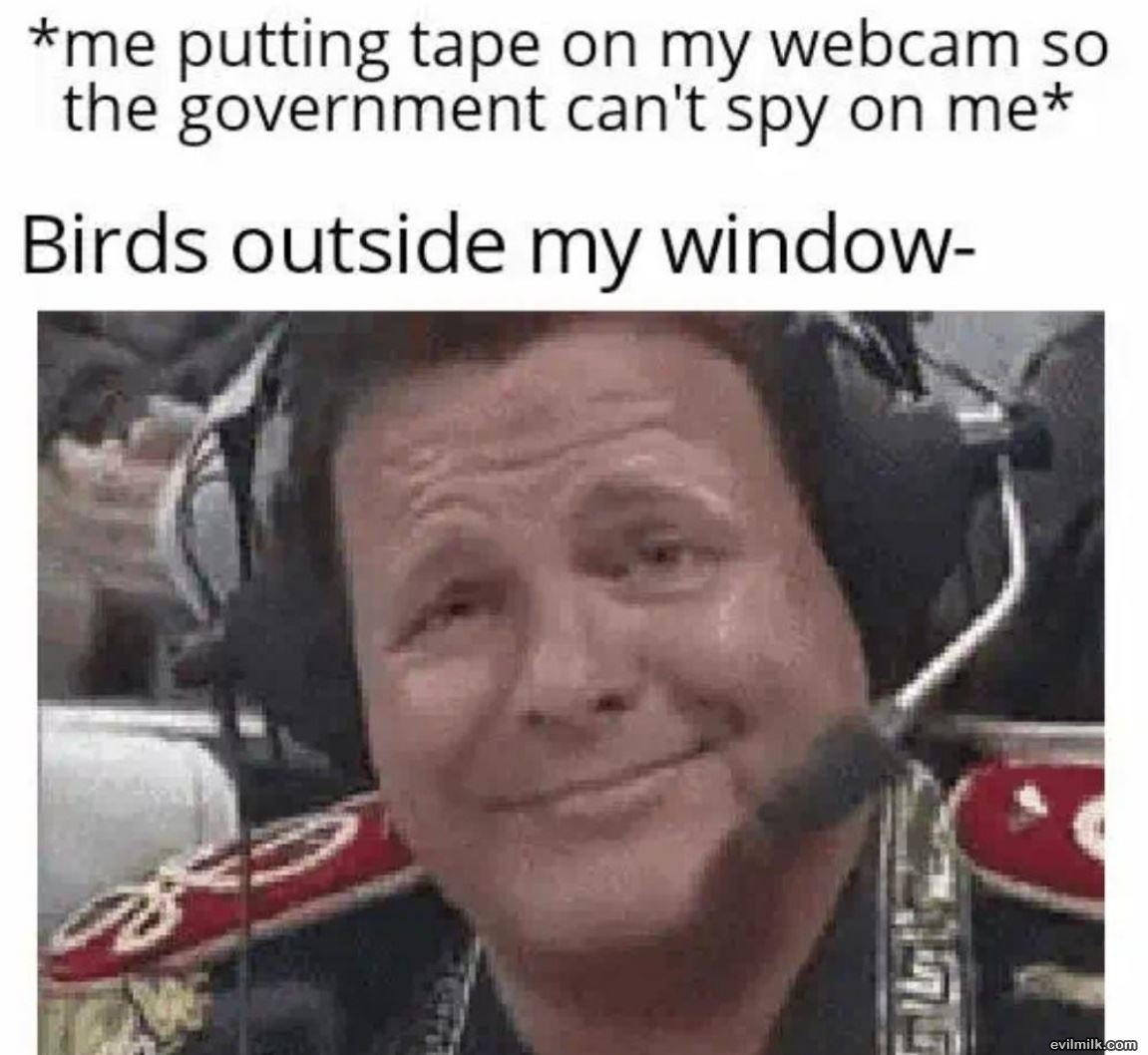 The Birds