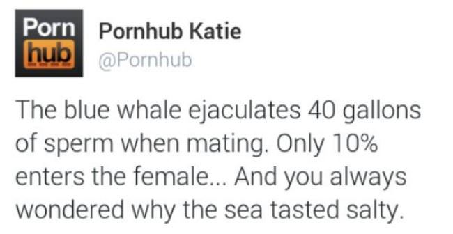 The Blue Whale